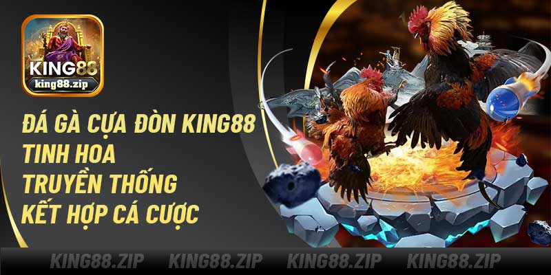 Đá Gà Đòn King88 – Tinh Hoa Truyền Thống Kết Hợp Cá Cược